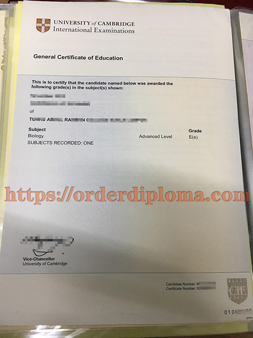 Where to Buy CIE Fake Certificate